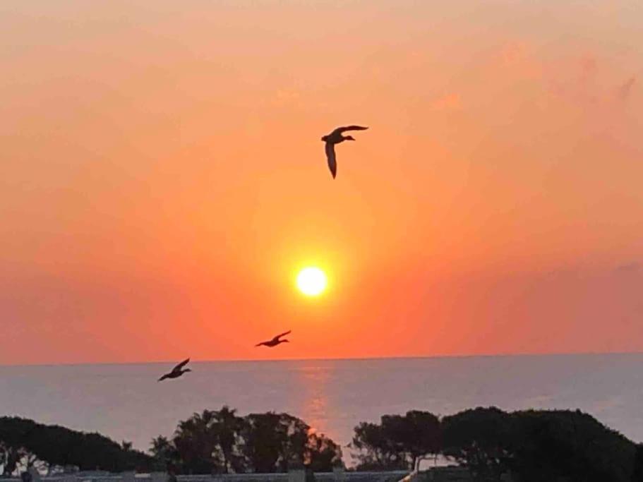 Appartement Vue Mer Au Lavandou Le Lavandou Exteriér fotografie
