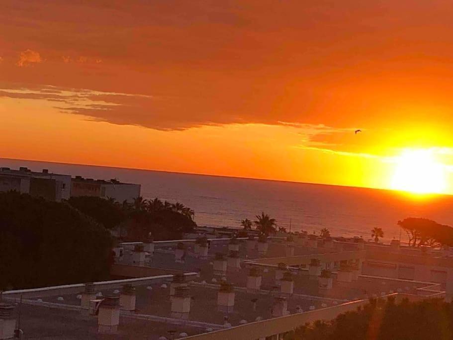 Appartement Vue Mer Au Lavandou Le Lavandou Exteriér fotografie