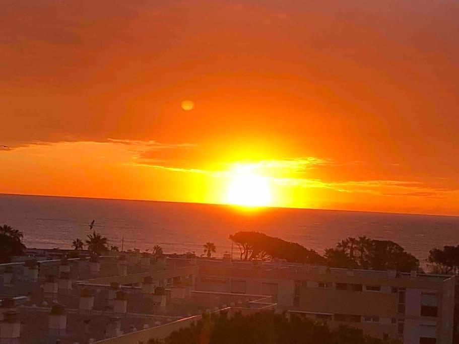 Appartement Vue Mer Au Lavandou Le Lavandou Exteriér fotografie
