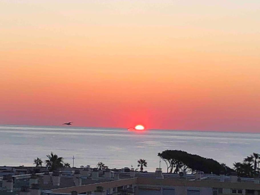 Appartement Vue Mer Au Lavandou Le Lavandou Exteriér fotografie
